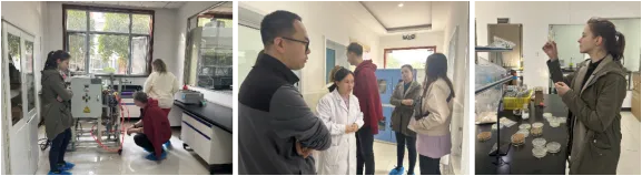 多彩网-让你的生涯越发丰硕多彩