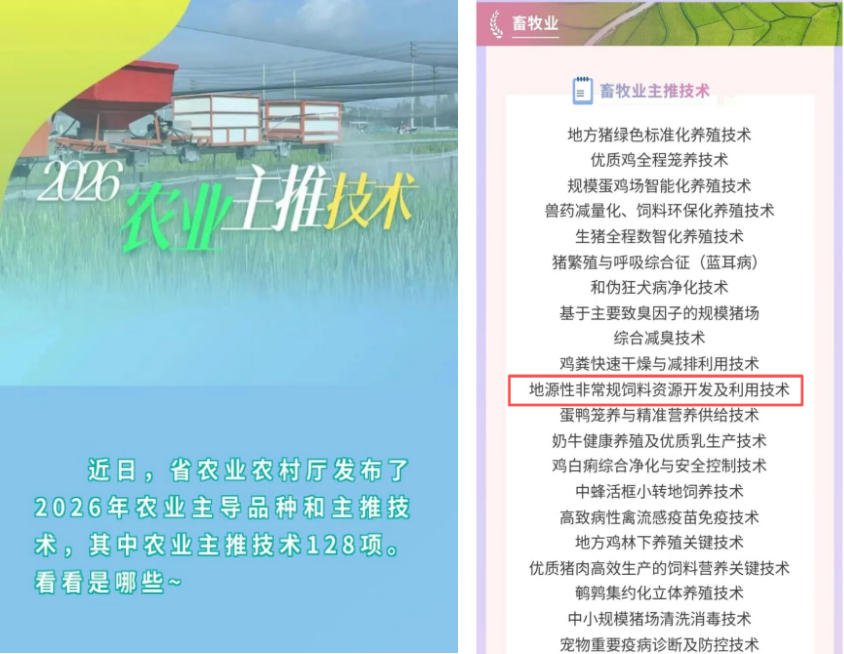 20260616103251_55439 多彩网-让你的生涯越发丰硕多彩